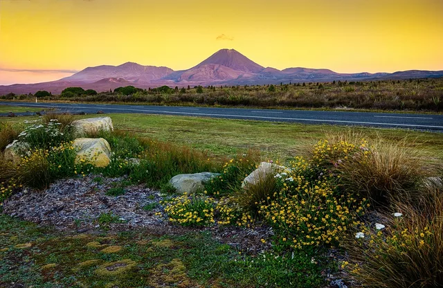 synthesizer, vulkan, lord of the rings, new zealand. Sammenlign leverandører på tværs af landsdele med regionsoversigter
